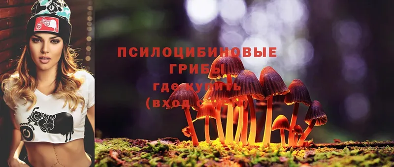 Галлюциногенные грибы Psilocybe  Неман 