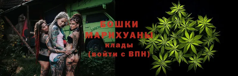 Канабис SATIVA & INDICA  Неман 